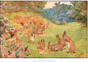 バニーズパーラー、「Country Days and Country Ways」のイラスト 作： Frank Adams